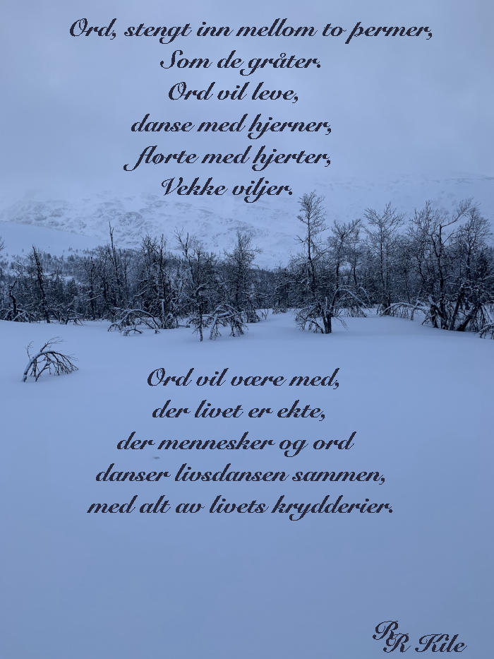 Serien Liber Mundi, Første kapittel, femte bok, Lysglimt på snø. Norsk Fantasy, Norsk Science Fiction, Norsk Fantasy forfatter R.R. kile